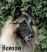 Henson