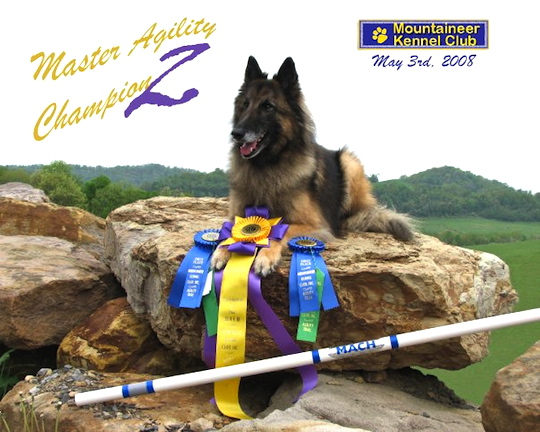 Merlin